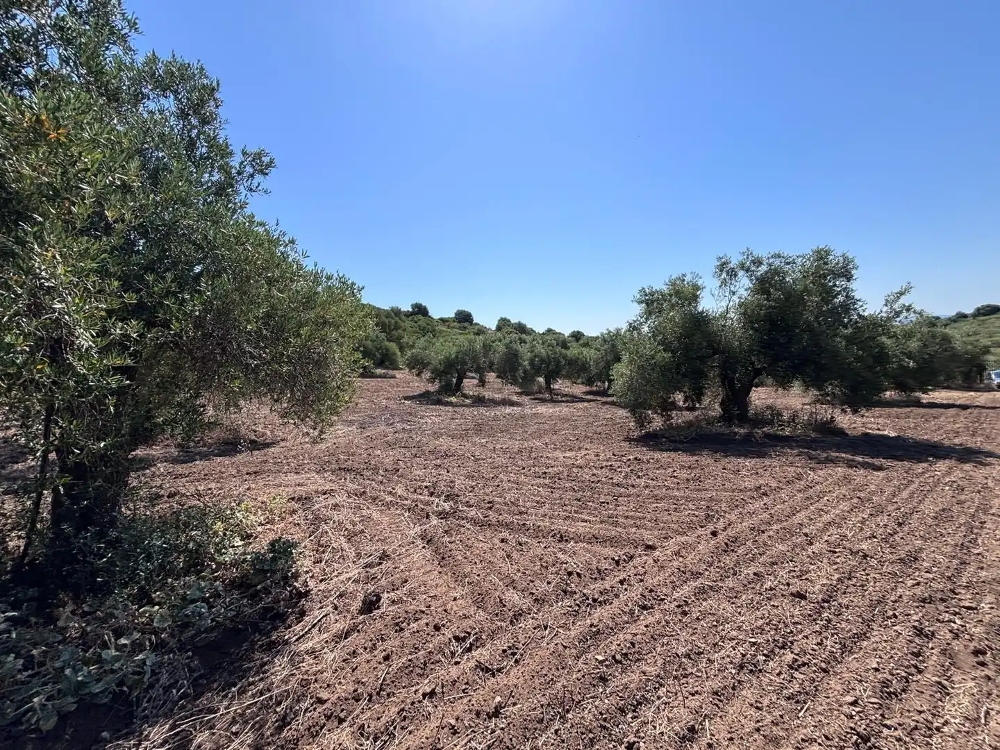 Terreni e lotti in vendita a Arcos de la Frontera, imagen 16