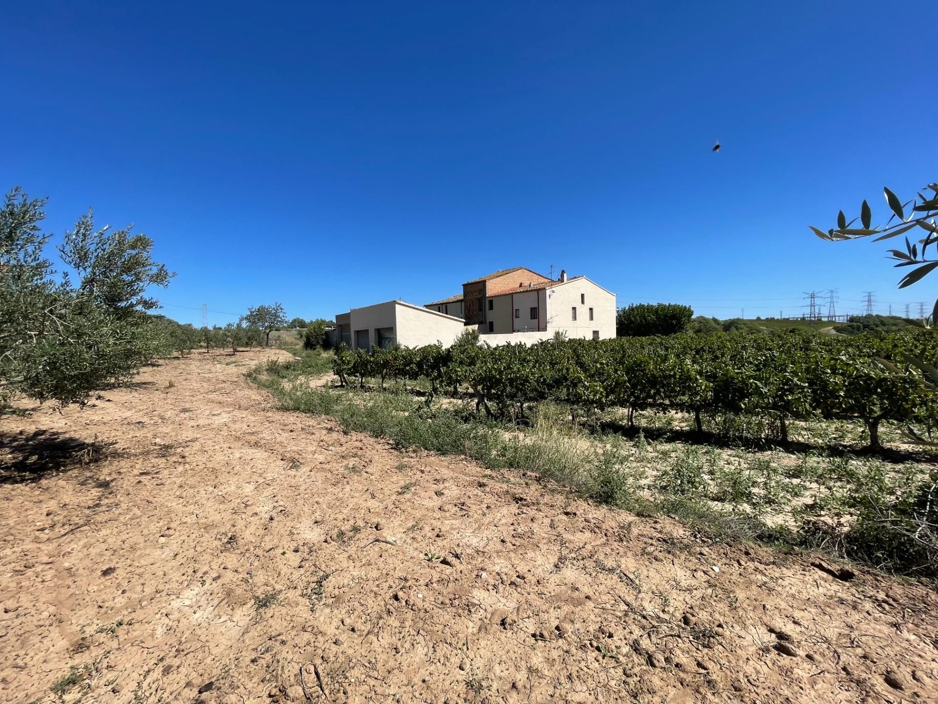 Casa o xalet en venda en Els Hostalets de Pierola amb Calefacció, Jardí privat i Terrassa