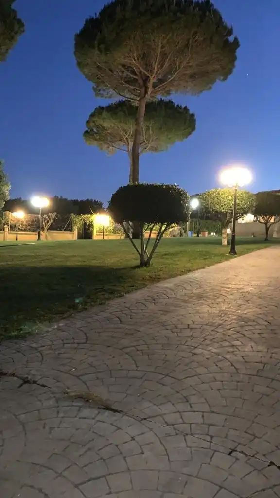 Jardín de Casa o chalet en venta en San Roque con Jardín privado, Terraza y Piscina