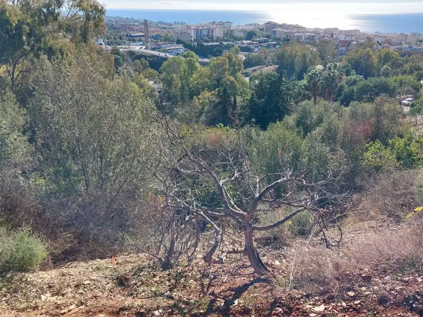 Terreno en venta en Marbella Centro
