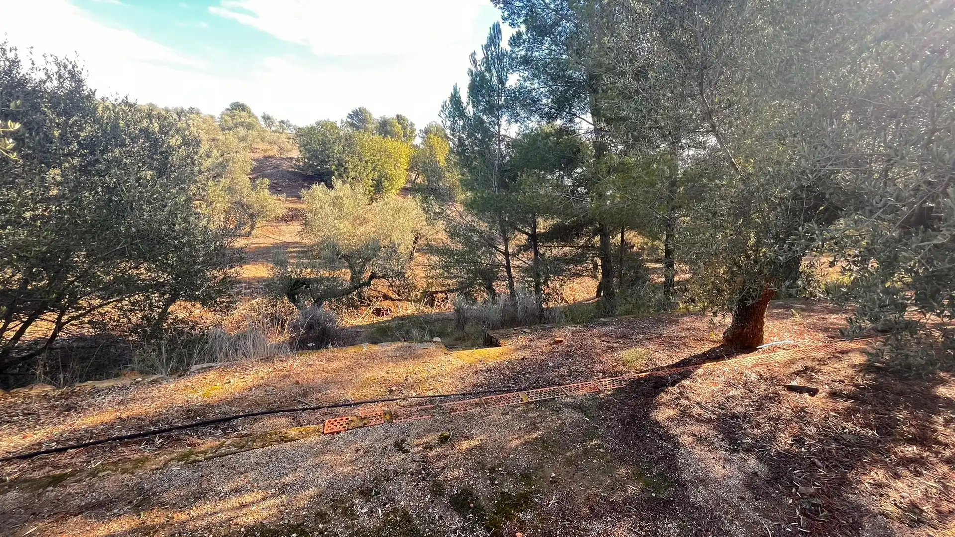 Terreno rustico in vendita a Carrer de Sant Abdó i Sant Senén, imagen 16