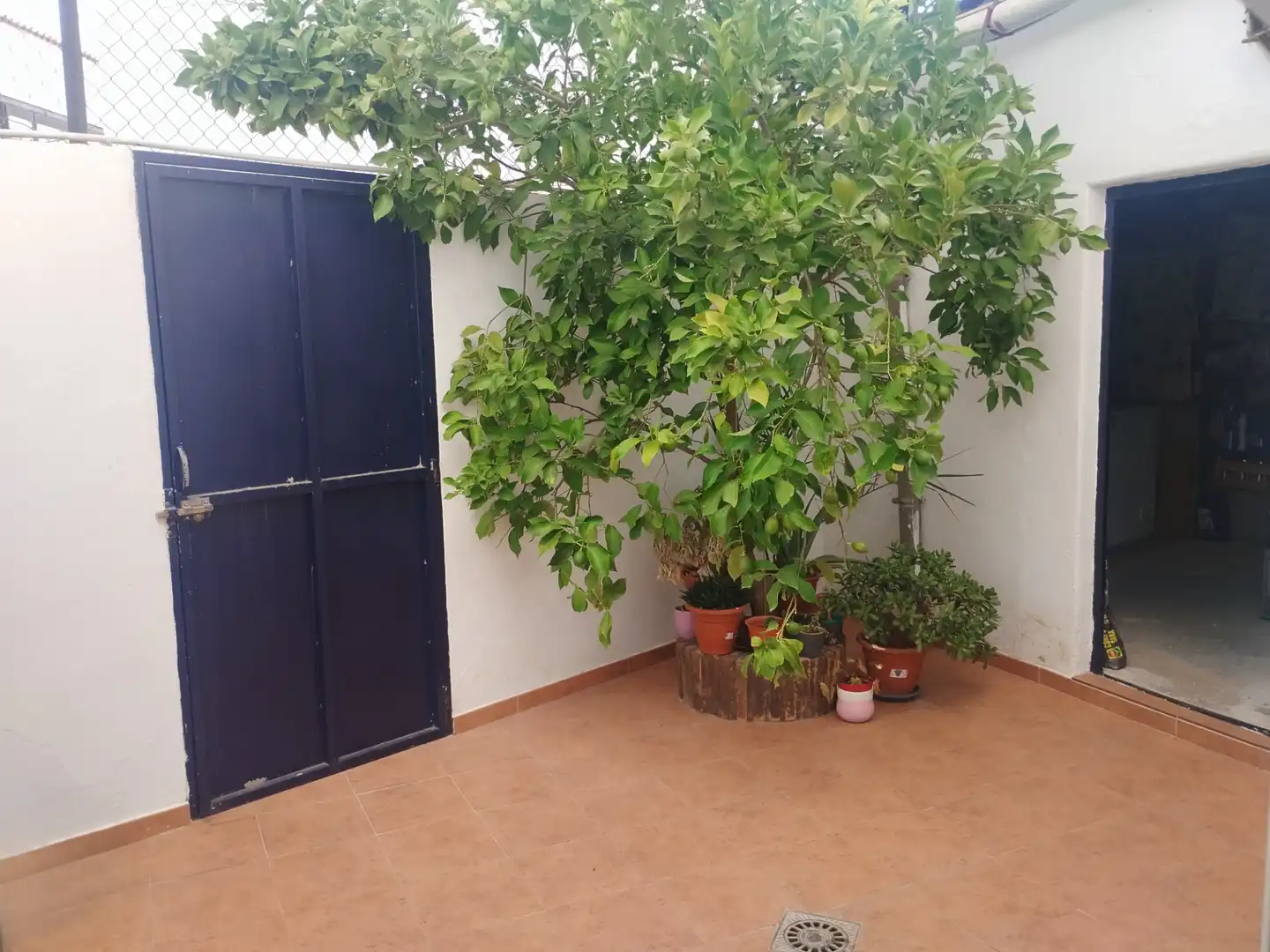 House for sale in Calle Cruz Blanca, imagen 12