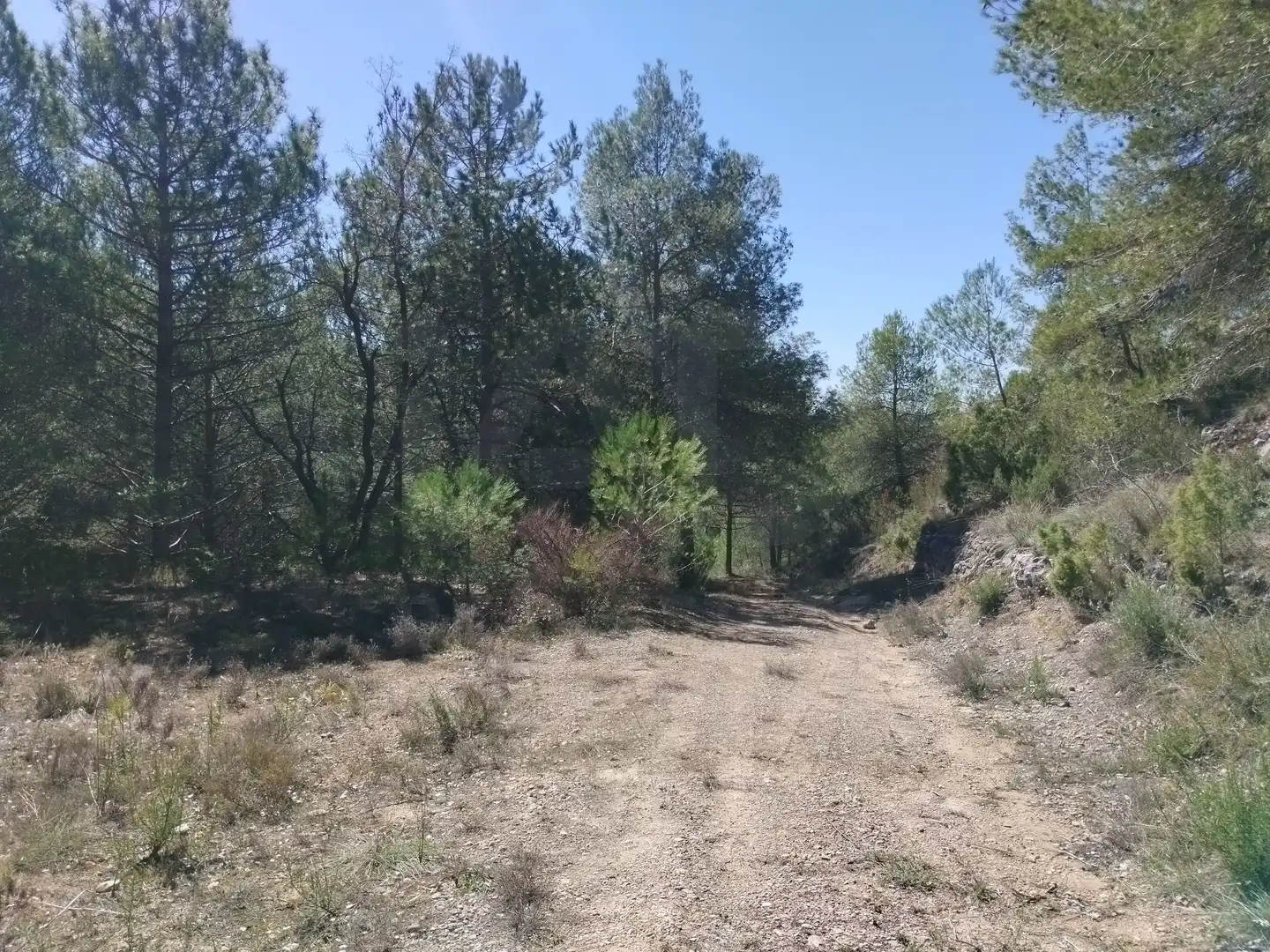 Terreno en venta en La Morera de Montsant
