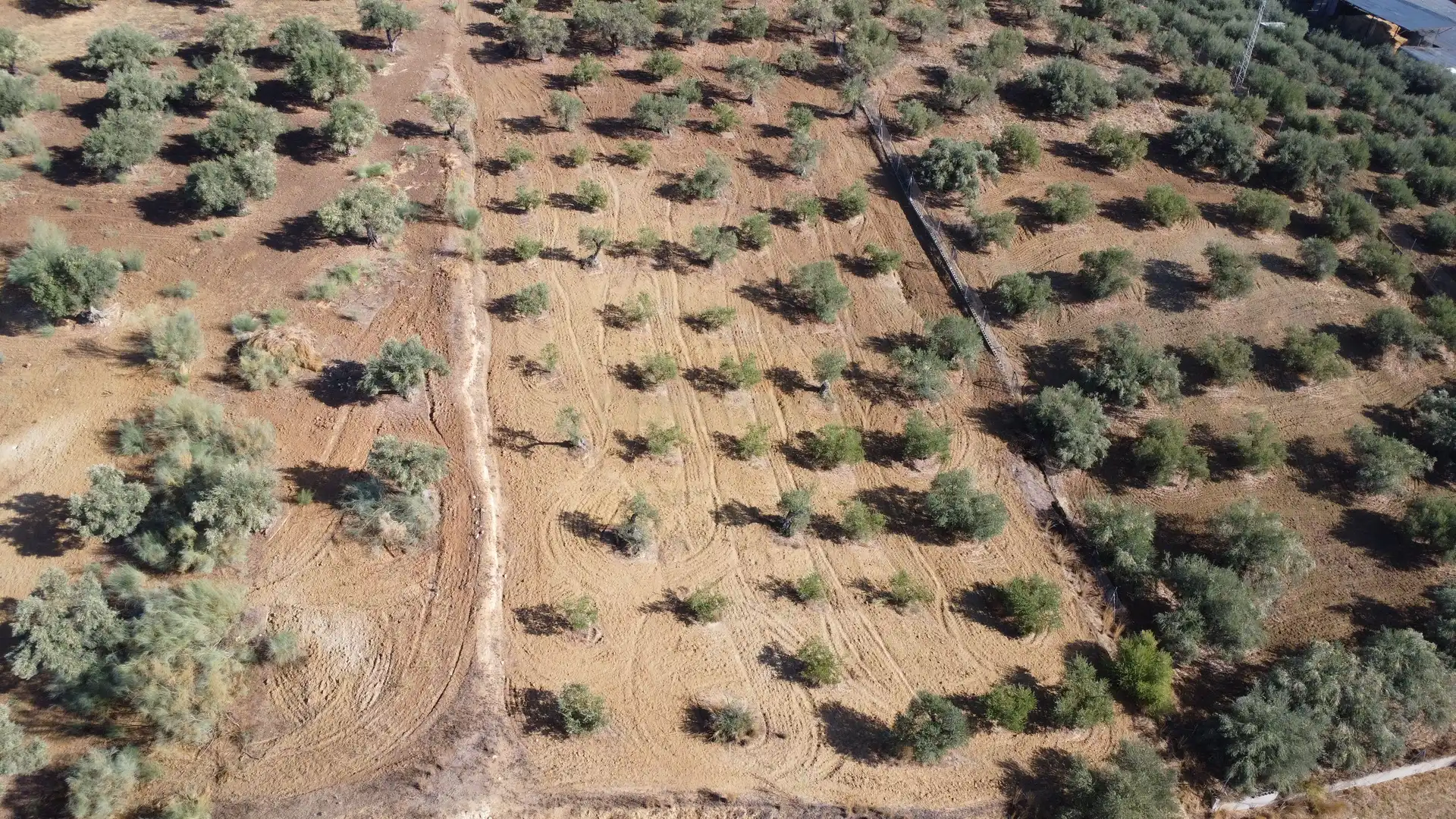 Rural land for sale in Camino la Ramita, Alhaurín de la Torre, Málaga, Spain, imagen 8