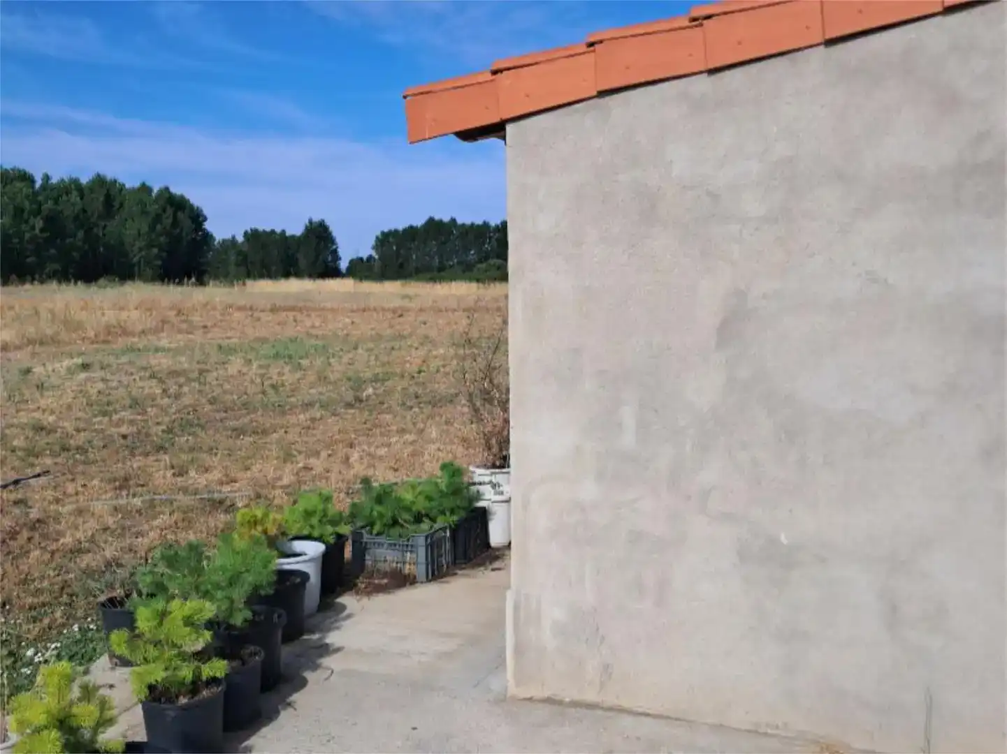 Finca rústica en venta en Camarzana de Tera, Zamora