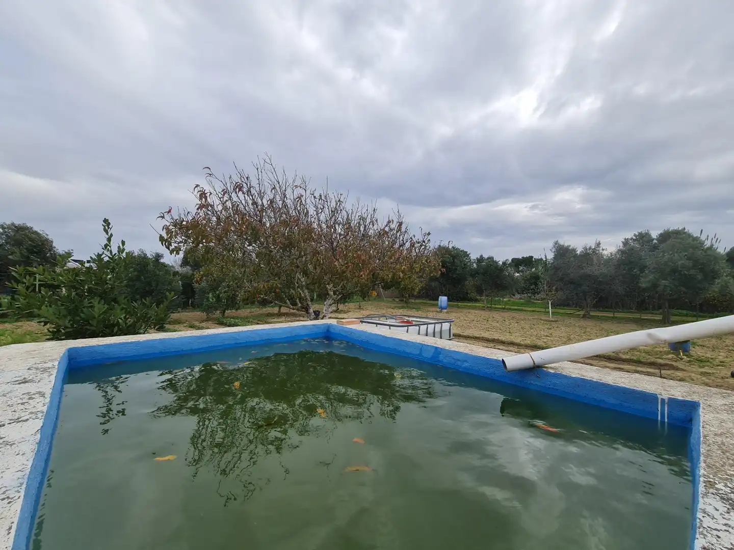 Casa o xalet en venda a Pelagatos - Pago del Humo