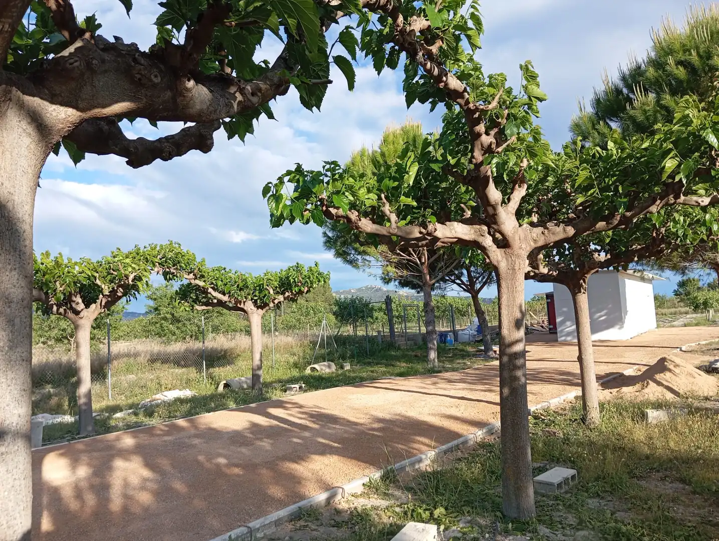 Finca rústica de lloguer en Villena amb Jardí privat, Traster i Moblat