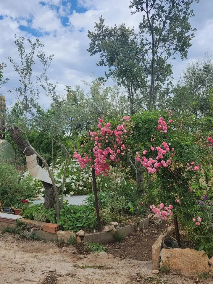 Casa rustica con giardino in vendita a Burgà, imagen 16