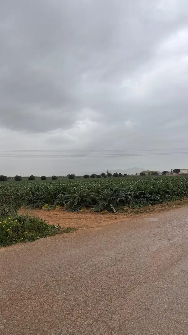 Terreno en venta en Murcia