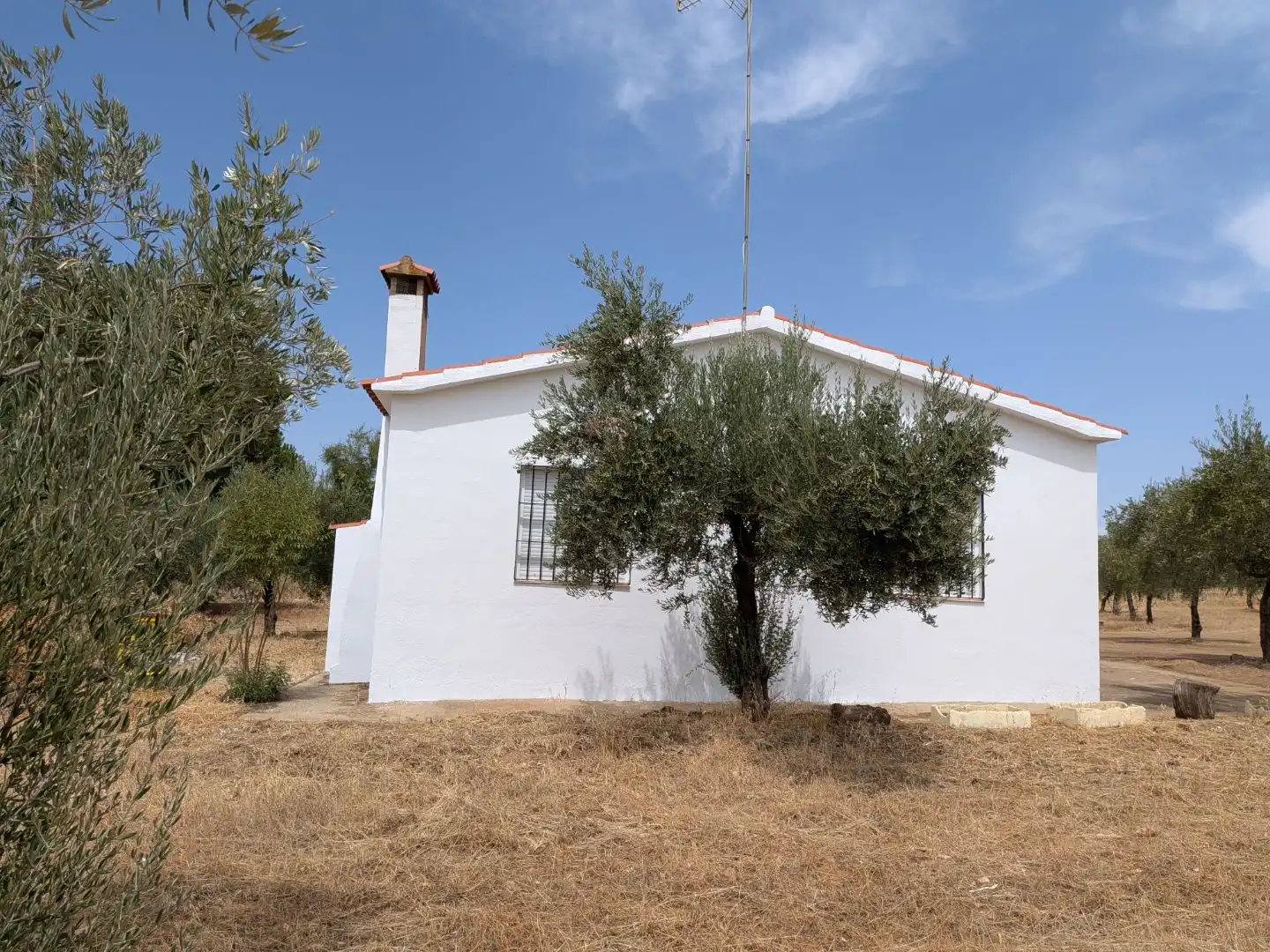 Vista exterior de Terreno en venta en Castuera