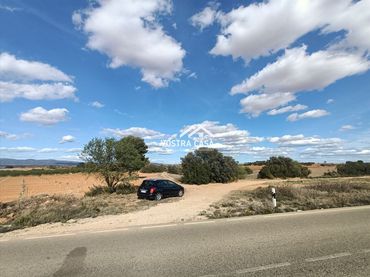 Terreny rústic en venda a POZO ARANGU