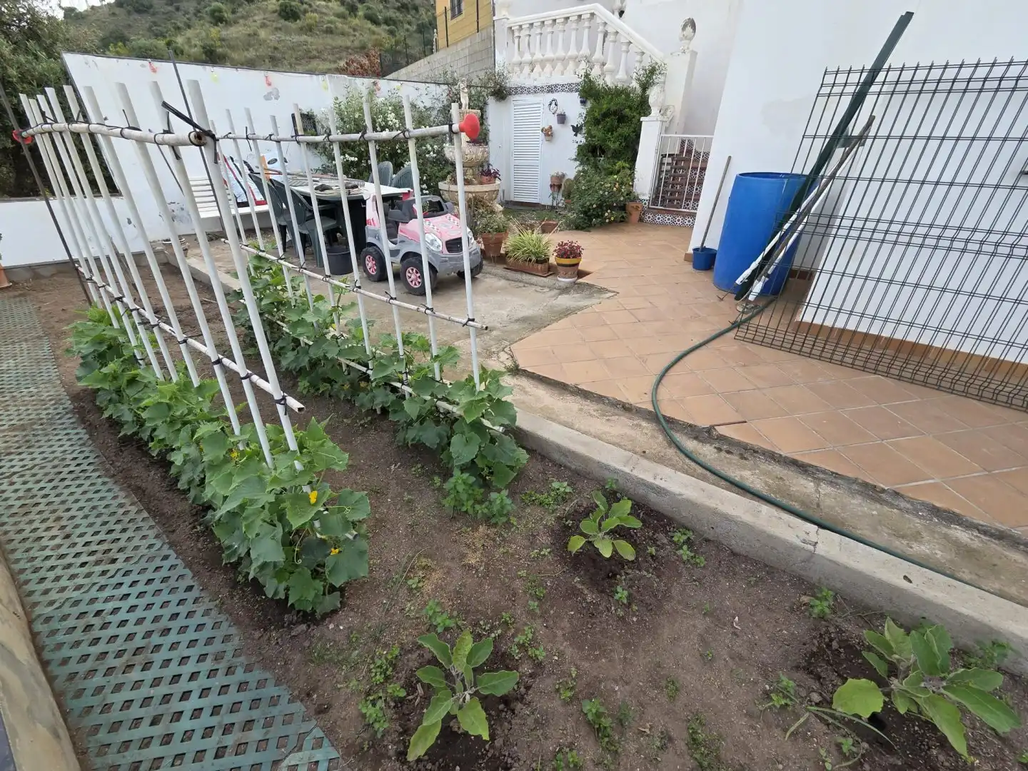Jardín de Casa o chalet en venta en Málaga con Jardín privado, Terraza y Piscina