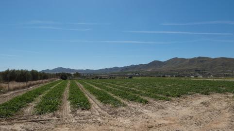 Foto 5 de Finca rústica en venta en Paraje el Alcauzon, 8, Huércal-Overa, Almería