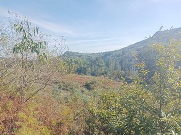 Terreny rústic en venda a Parroquias rurales