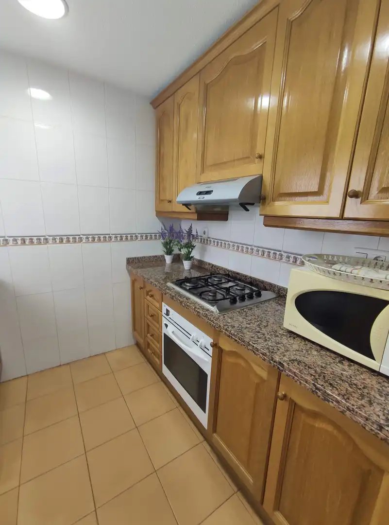 Duplexes for rent in Gran Playa