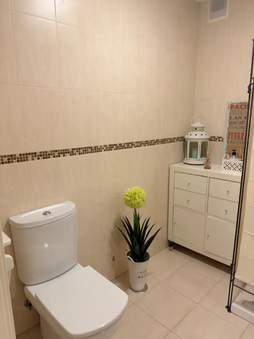 Bathroom of Flat for rent in Centro