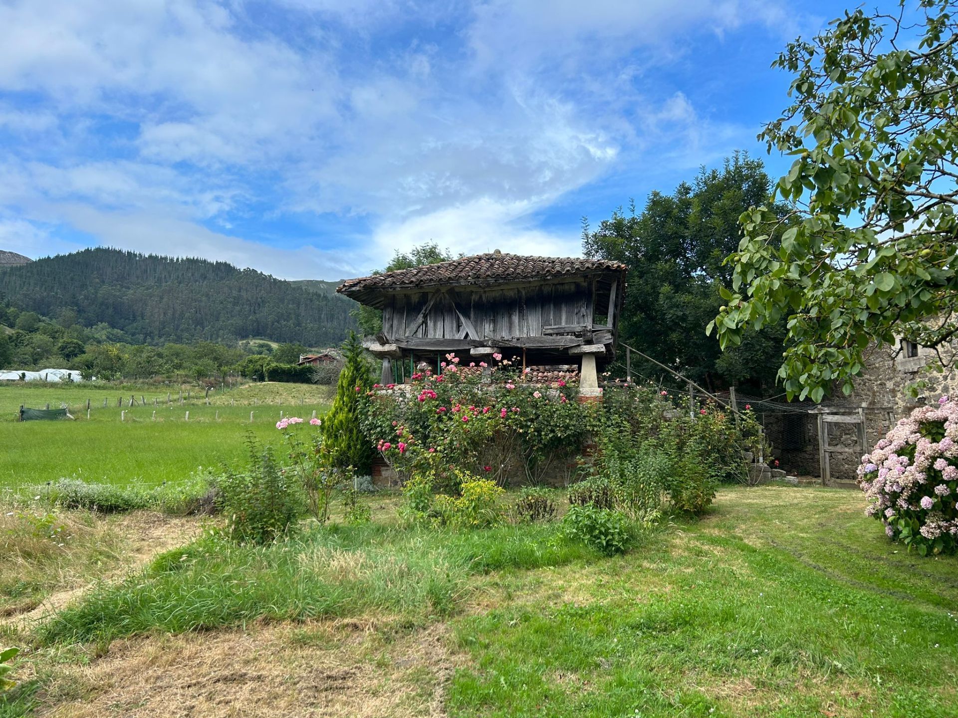 House or chalet for sale in Parres