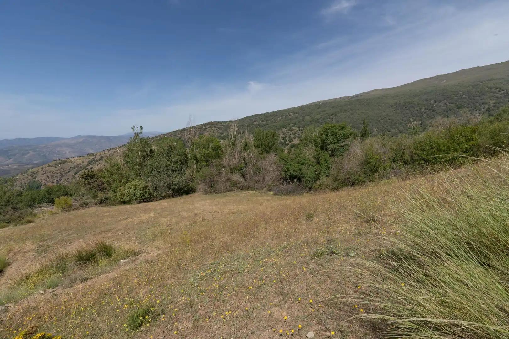 Terreno en venta en Soportújar