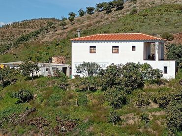 Terrenys i solars en venda a Vélez-Málaga ciudad