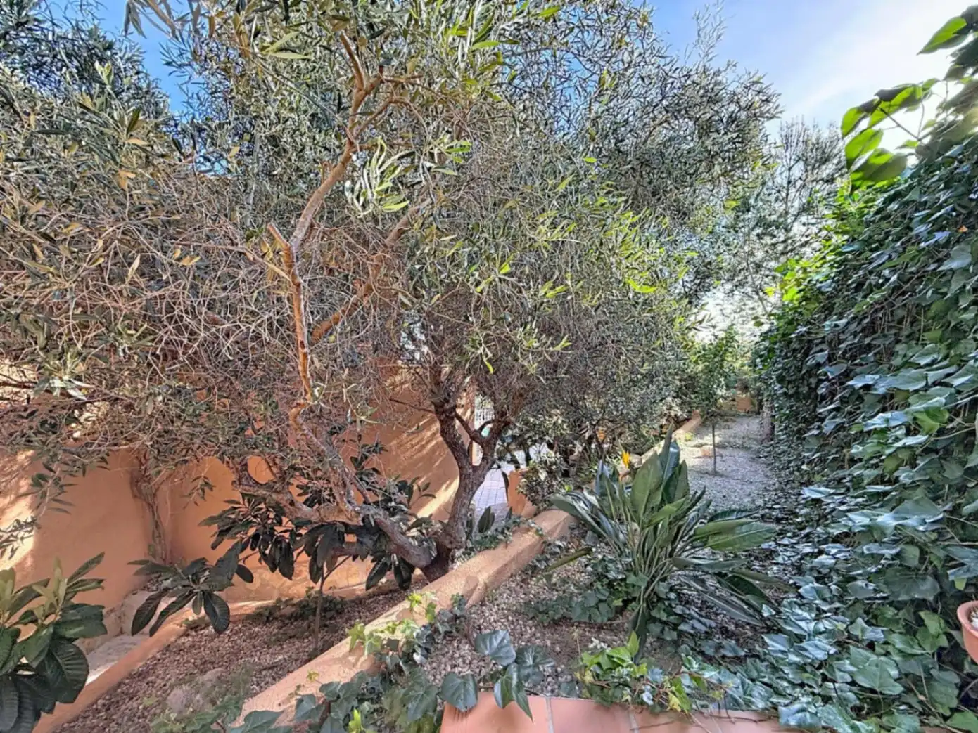 Villa avec piscine à vendre à Cumbre del Sol, imagen 45
