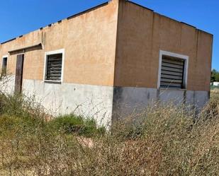 Exterior view of Country house for sale in Chiclana de la Frontera  with Private garden