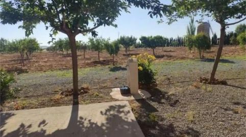 Foto 5 de Finca rústica en venda a Calle Urda, 100, Consuegra, Toledo