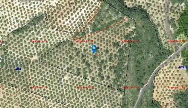 Terreni e lotti in vendita a Villanueva del Arzobispo, imagen 11