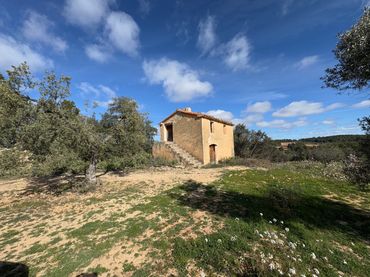 Terreno rustico in vendita a Valderrobres