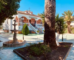 Jardí de Casa o xalet en venda en Lucena amb Terrassa, Piscina i Moblat