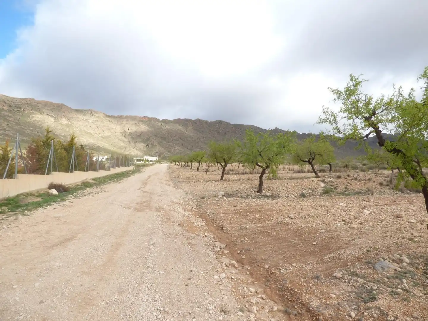 Rustikales Grundstück zum Verkauf in Jumilla, imagen 18