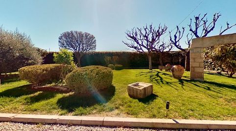 Foto 4 de Finca rústica en venta en Partida de la Figuera, Mollerussa, Lleida