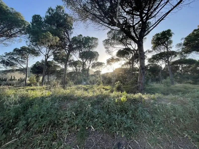 Residential land for sale in INDUSTRIAL CN II, POLIGONO 18, PARCELA 44, imagen 8