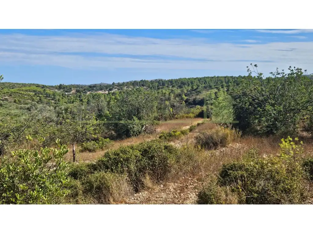 Rural land for sale in Poligono 37 Paraje 351 T Cerver, imagen 10