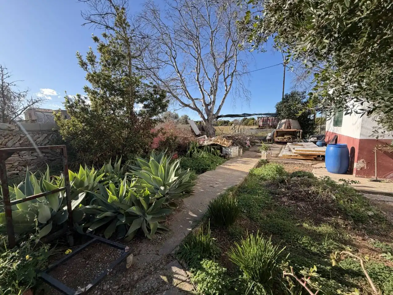 Jardí de Casa o xalet en venda en Castellón de la Plana / Castelló de la Plana amb Jardí privat i Terrassa