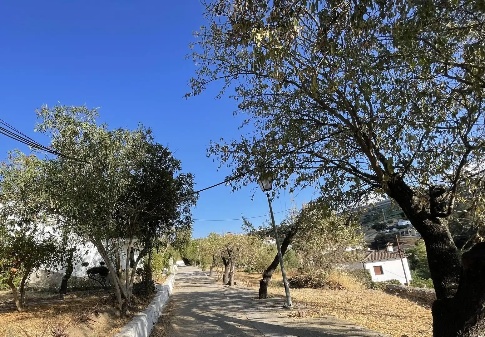 Villa con giardino in vendita a Calle VIZCAINO EL, imagen 10