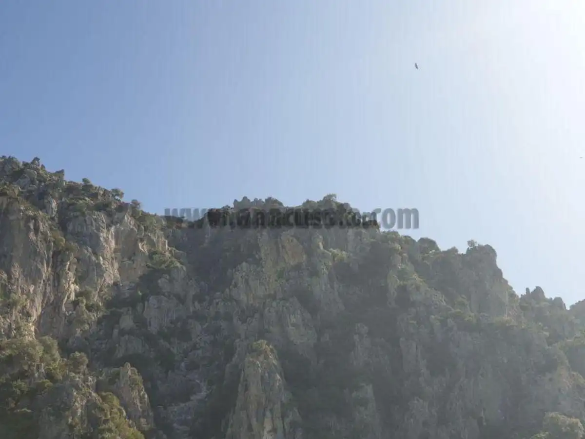 Residencial en venda a Casares, Málaga