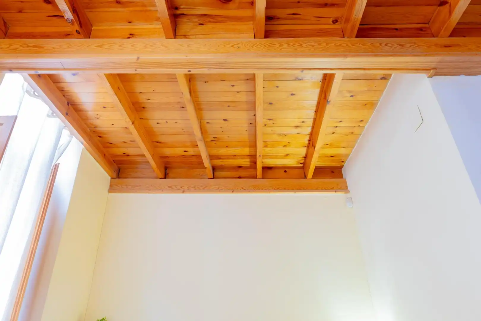 Casa amb terrassa en venda a JOSE BENLLIURE, imagen 12