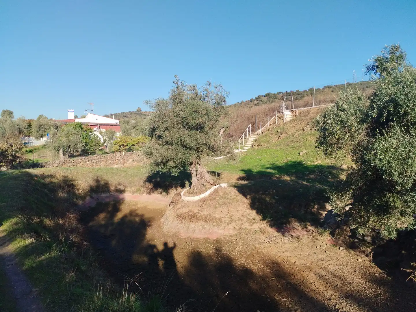 Casa rústica amb jardí en venda a Jerez de los Caballeros, imagen 6