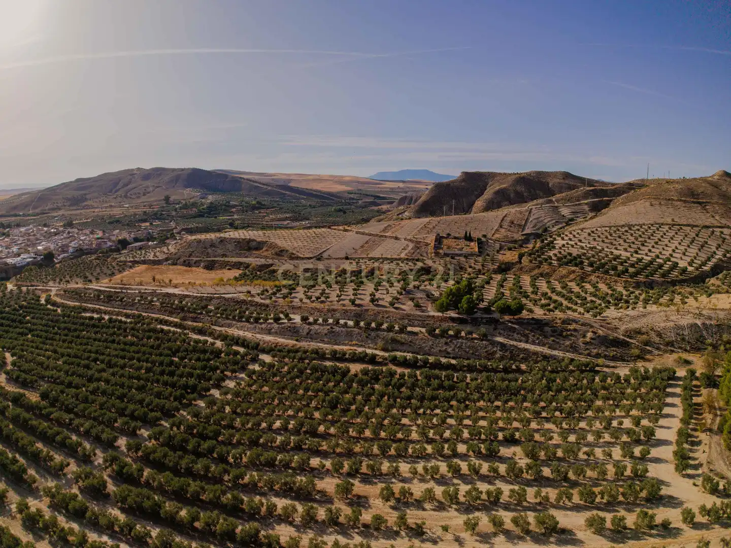 Terreno rústico en venta en 472M+GF La Malahá, Spain, imagen 8
