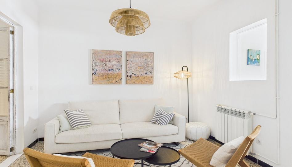 Photo 1 of Apartment to rent in Cort, Illes Balears