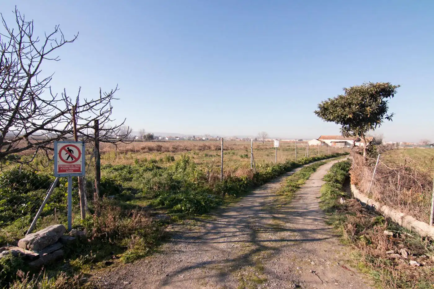 Land for sale in Granada