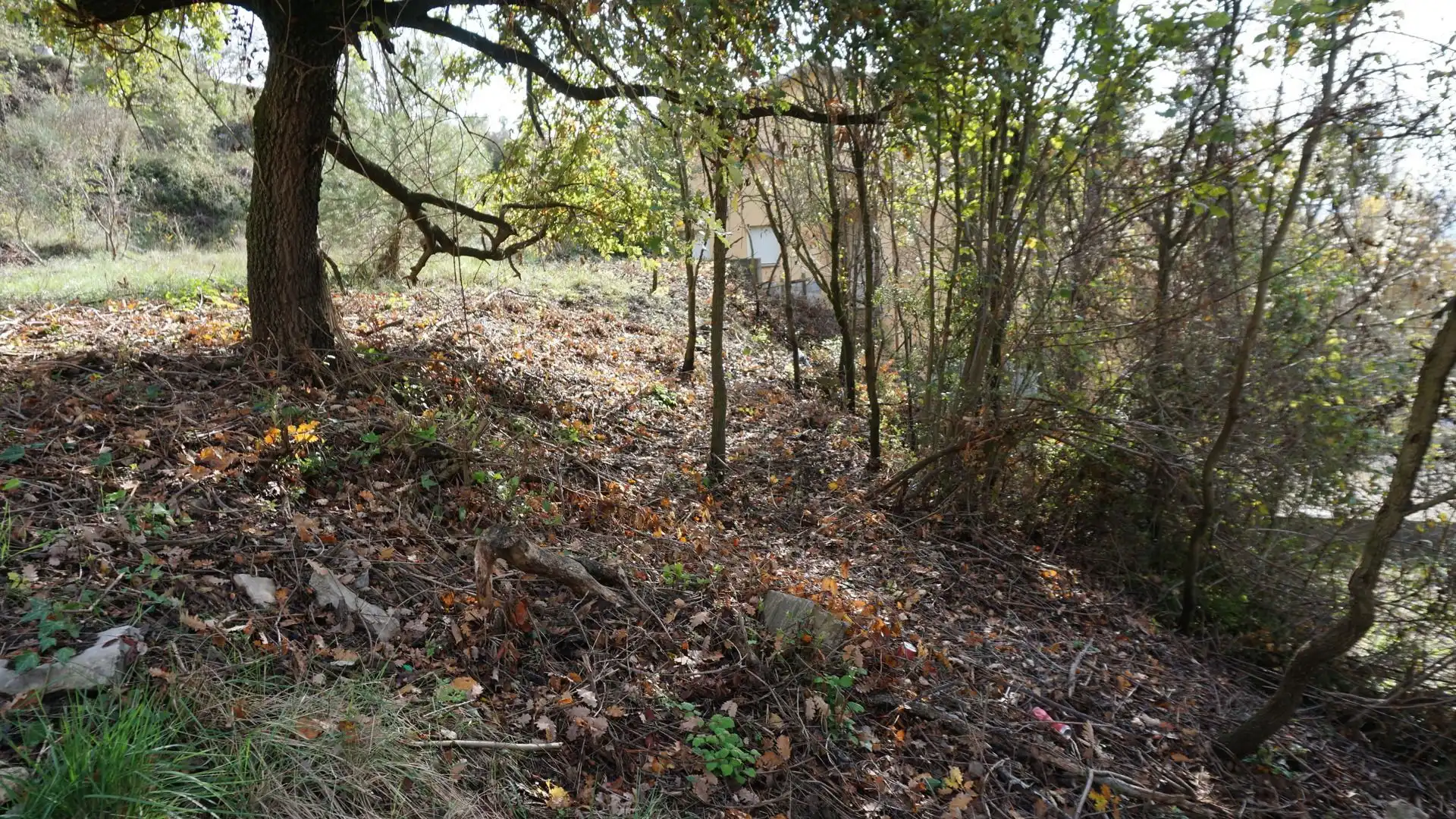 Grundstücke und Bauplätze zum Verkauf in Lluis Companys, imagen 23