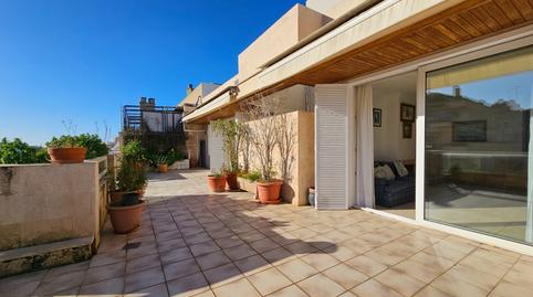 Photo 4 of Attic for sale in  Anselm Turmeda, Bons Aires,  Palma de Mallorca