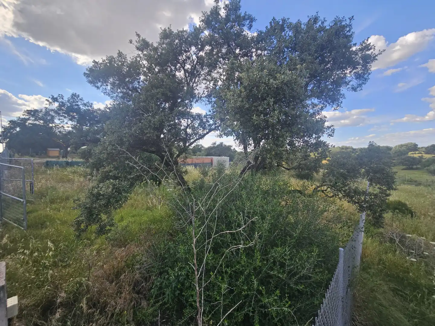 Terreny residencial en venda a Sanlúcar la Mayor, imagen 4