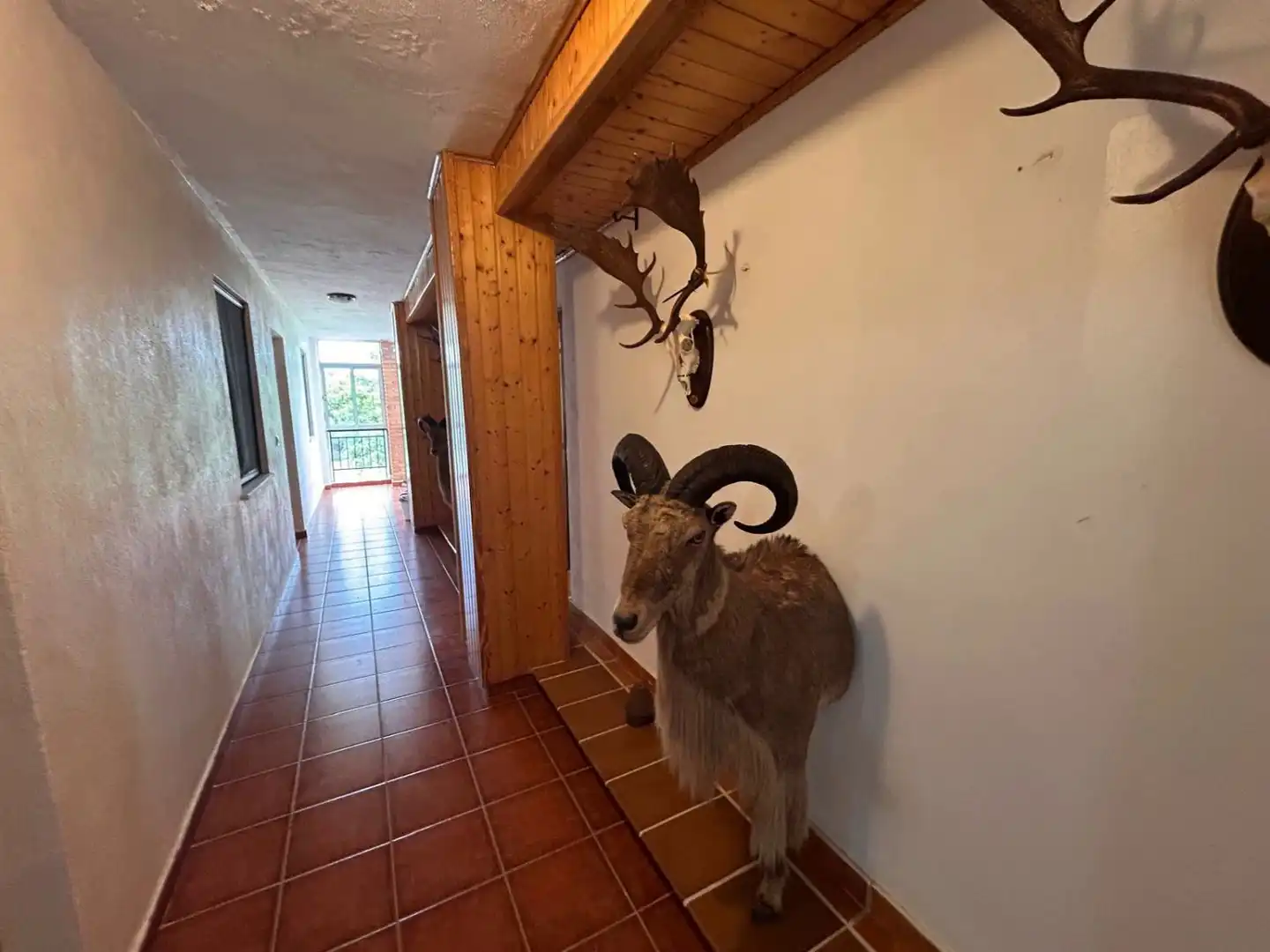 Casa rústica en venda a Masegoso, imagen 18