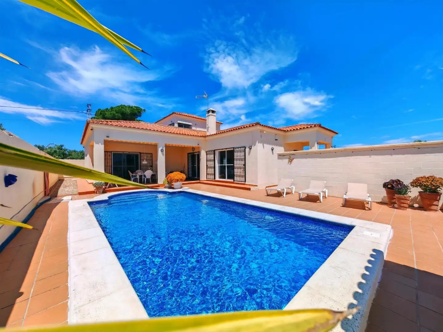 Piscina de Casa o chalet en venta en Las Lagunas - Campano