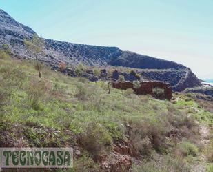 Land for sale in La Parra