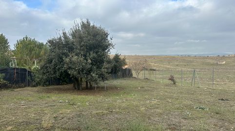 Foto 2 von Grundstücke zum Verkauf in Finca el Rondelo, Las Vegas - El Pozanco - Adelfillas, Colmenar Viejo