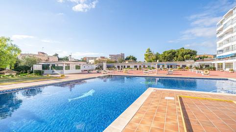 Foto 3 de Estudi en venda a Calle de Jardiel Poncela, Palmanova, Calvià