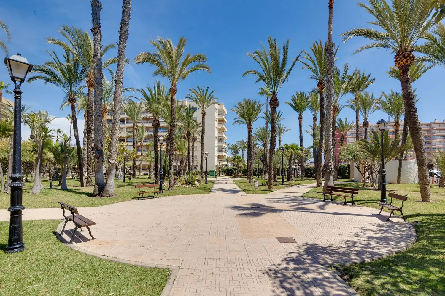 Vista exterior de Pis en venda en Torrevieja amb Aire condicionat, Terrassa i Moblat